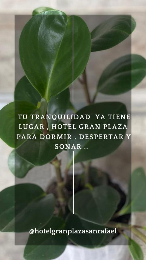 Hotel Gran Plaza San Rafael San Rafael  Exterior photo